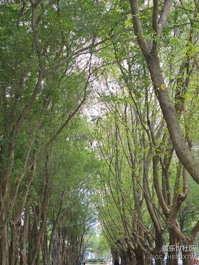 【与秋天合个影】萧瑟