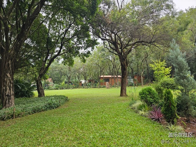 【与秋天合个影】秋天随拍