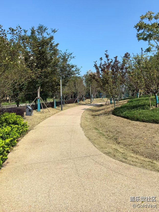 【与秋天合个影】金桂飘香