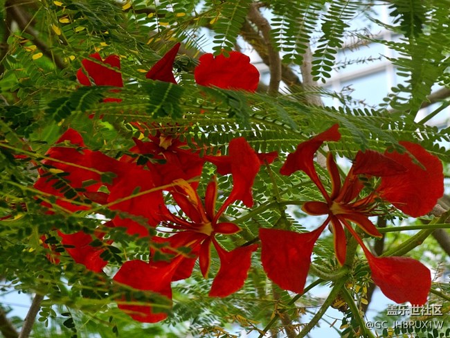 【与秋天合个影】秋景