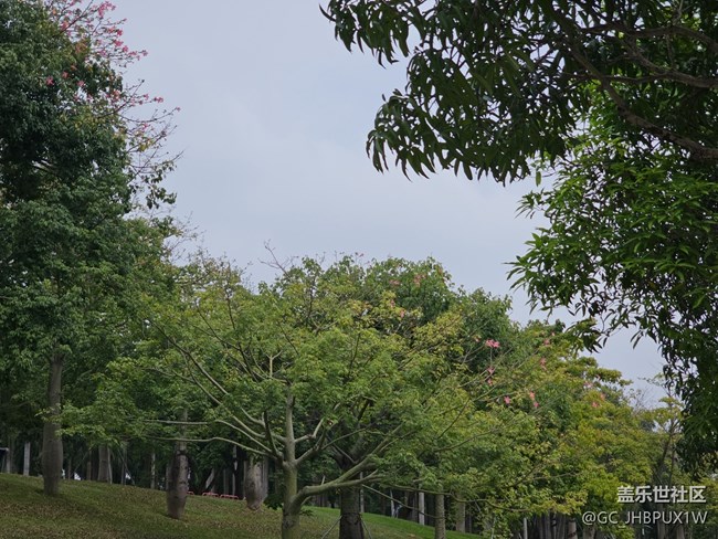 【与秋天合个影】萧瑟