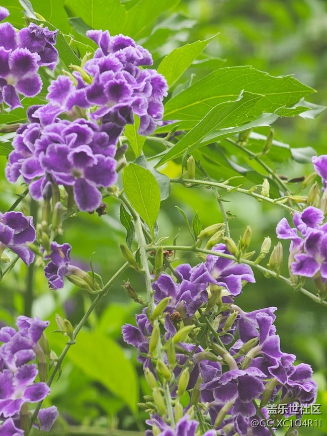 【与秋天合个影】秋天随拍