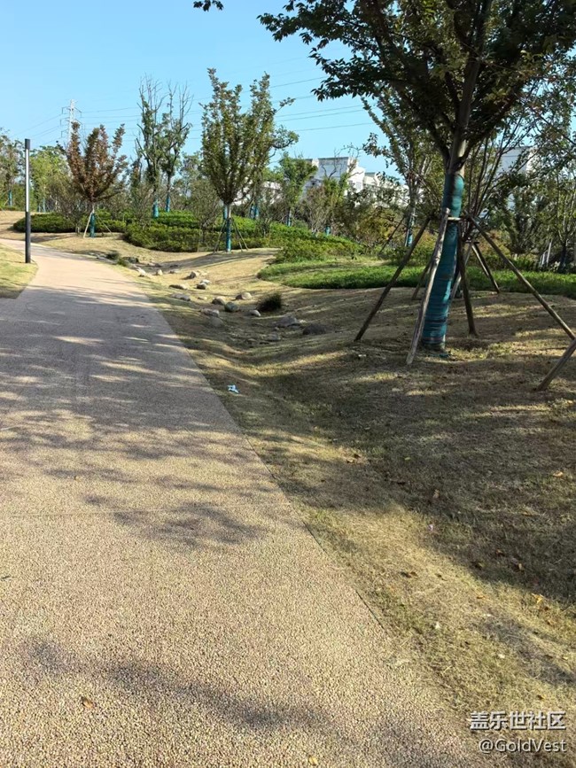 【与秋天合个影】金桂飘香