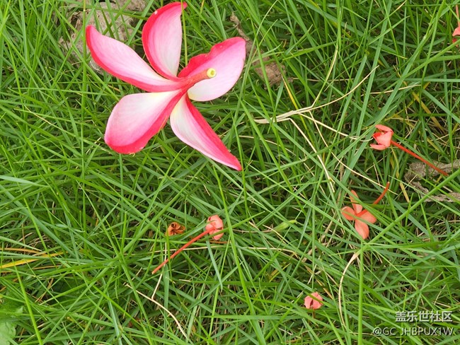 【秋影拾光】秋影拾光