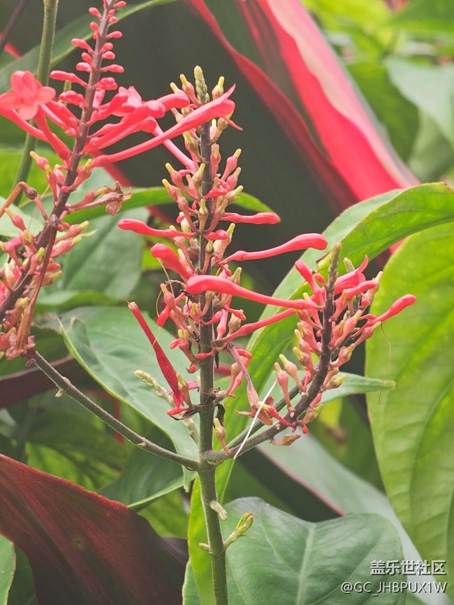 【与秋天合个影】萧瑟