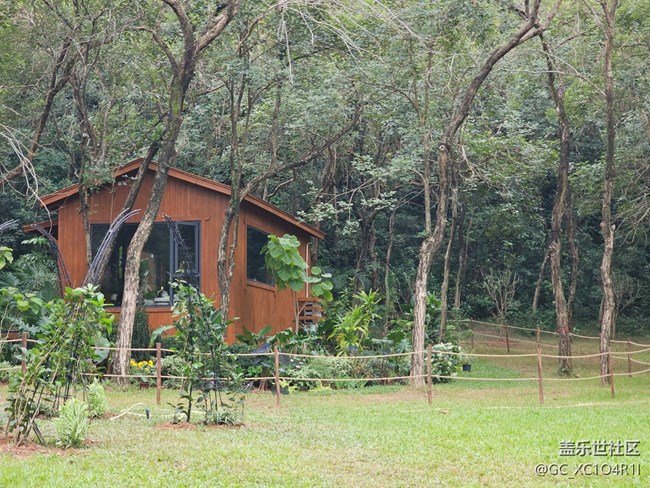 【与秋天合个影】秋天随拍