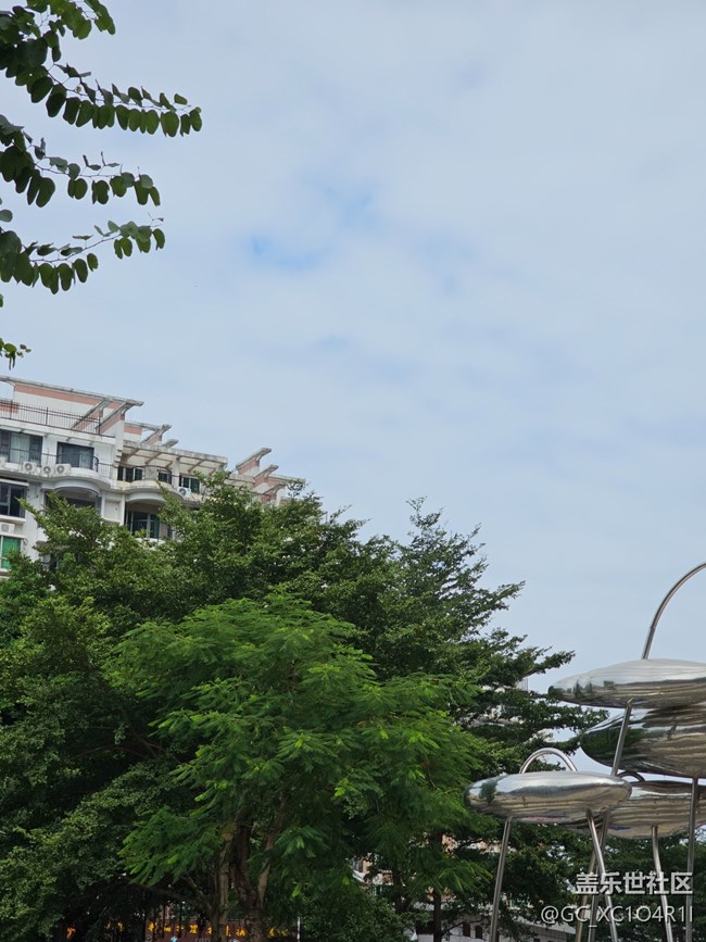 【与秋天合个影】天气晴朗