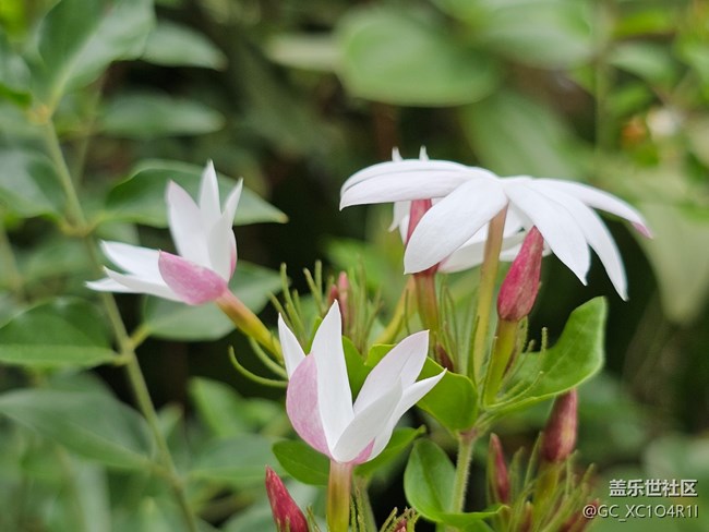 【与秋天合个影】秋天出游