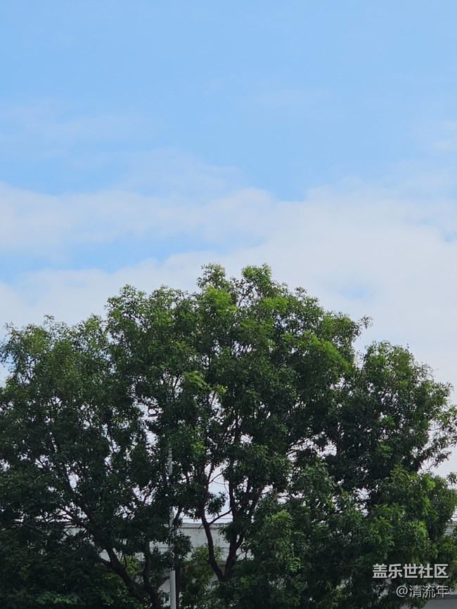 【与秋天合个影】好时光