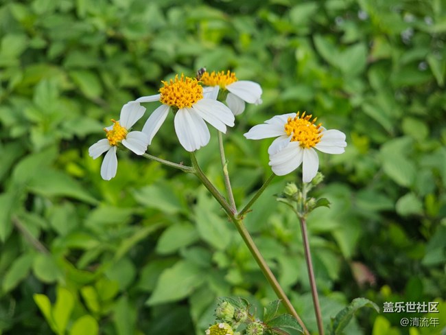 【与秋天合个影】好时光