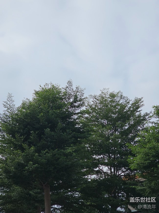 【与秋天合个影】好时光