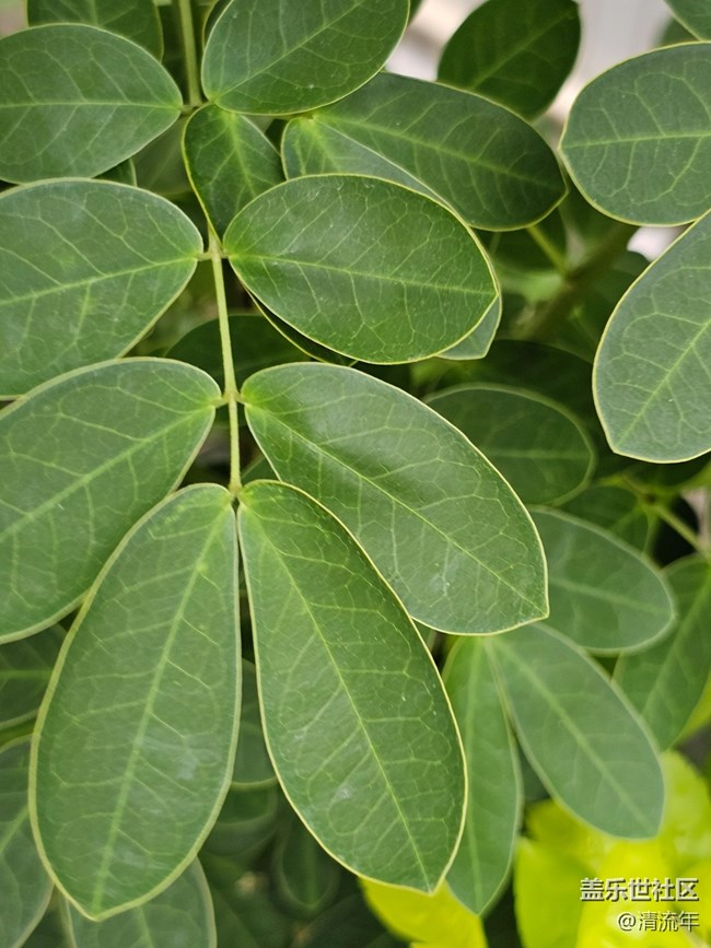 【与秋天合个影】秋日温度