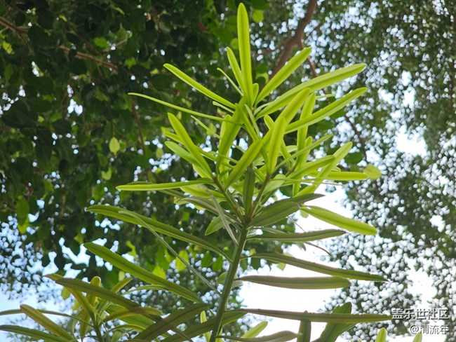 【与秋天合个影】秋日温度