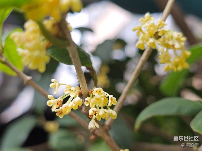 【与秋天合个影】秋日温度