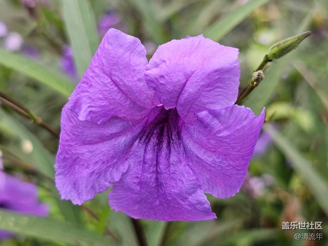 【与秋天合个影】阴天