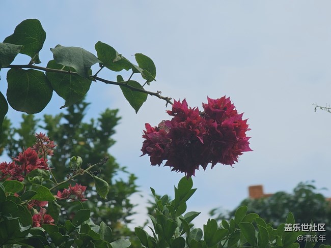 【与秋天合个影】秋日温度