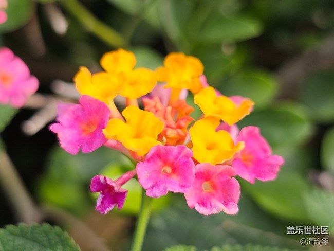 【与秋天合个影】秋日温度