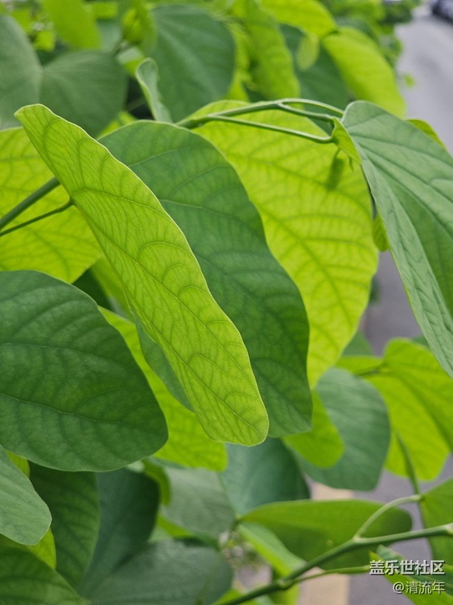 【与秋天合个影】好时光