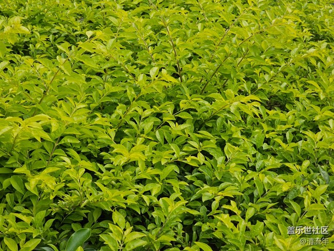 【与秋天合个影】好时光