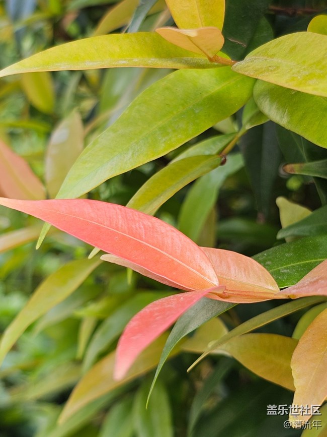 【与秋天合个影】好时光