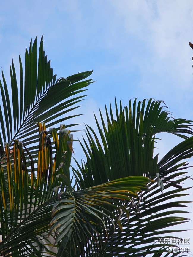 【与秋天合个影】秋日温度