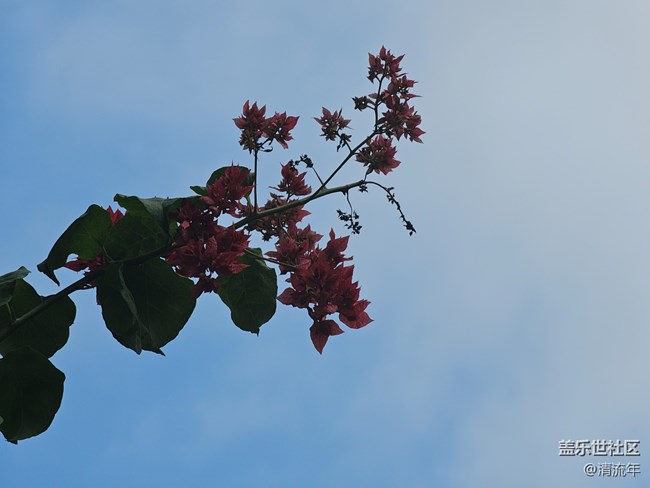 【与秋天合个影】阴天