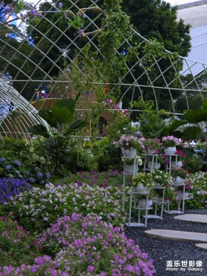 【奇妙的视角】+广州园博会