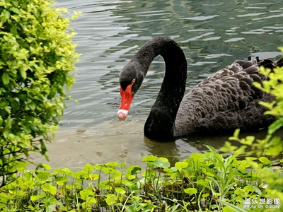 【奇妙的视角】+生活观察