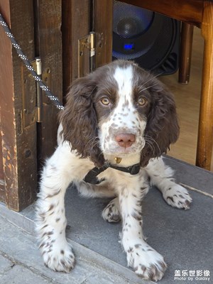 【奇妙的视角】+动物视角