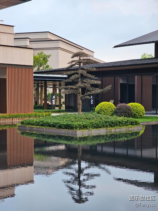 【一叶知秋】定格此刻