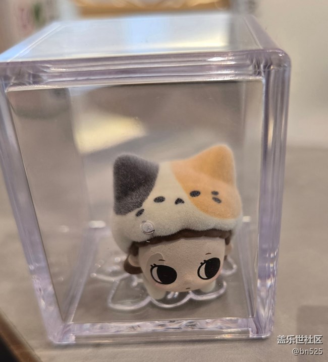 【世间的美好】与可爱相遇