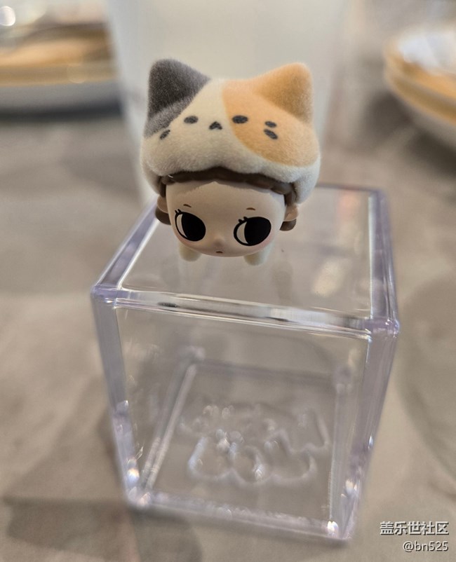 【世间的美好】与可爱相遇