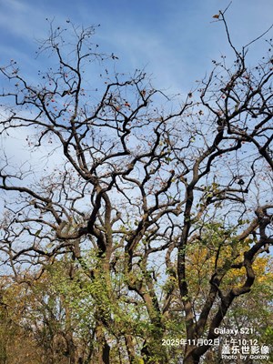 【奇妙的视角】+秋天随拍