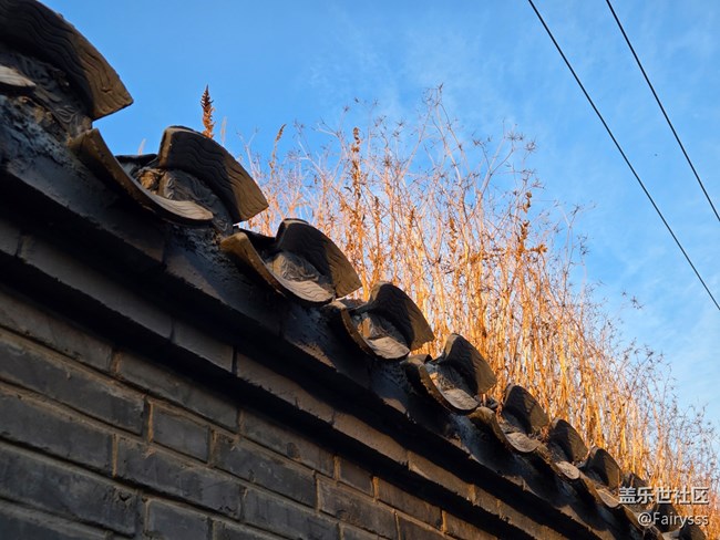 【一叶知秋】定格此刻