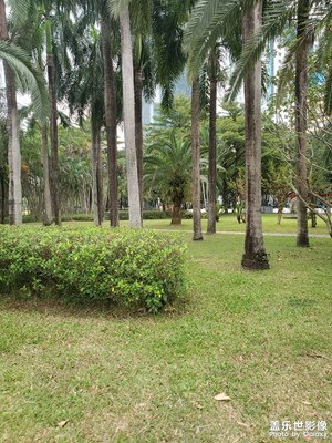 【奇妙的视角】公园日常