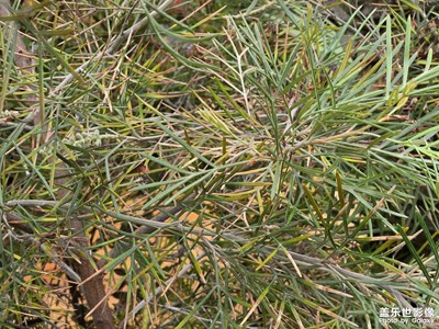 【奇妙的视角】+不同视角看世界