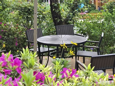 【奇妙的视角】自然景象