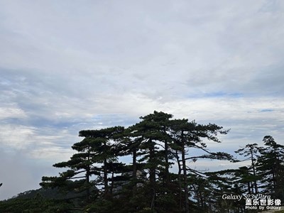 【奇妙的视角】劲松