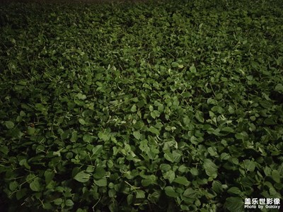 【奇妙的视角】日常点滴