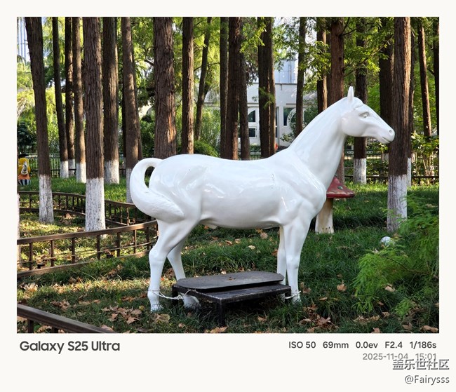 【一叶知秋】漫步