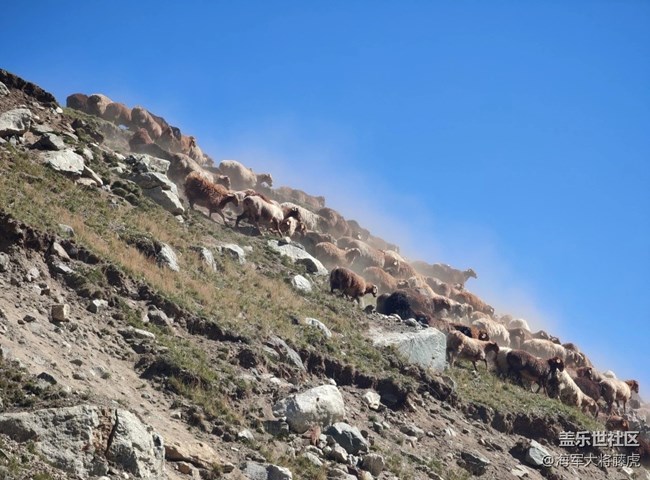 【国庆旅途】旅途记忆，在天地辽阔处生根