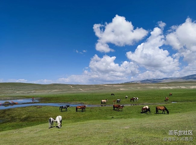 【国庆旅途】旅途记忆，在天地辽阔处生根