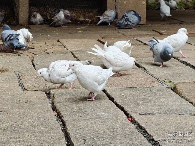 【国庆旅途】游时尚古镇