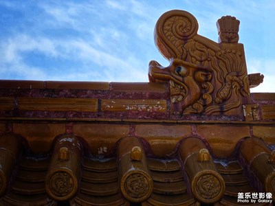 【城市生命力】地坛之秋