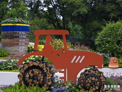 【城市生命力】+广州花城