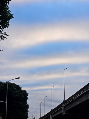 【城市生命力】日常