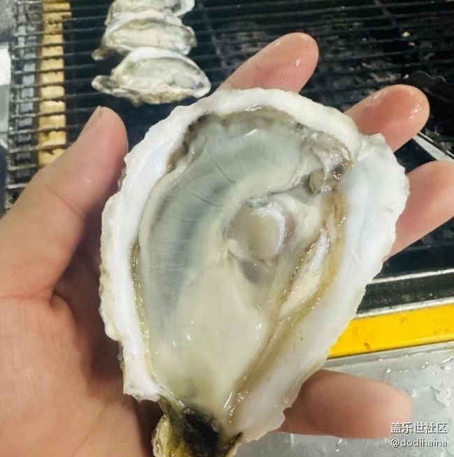 【暖锅之约】烤生蚝