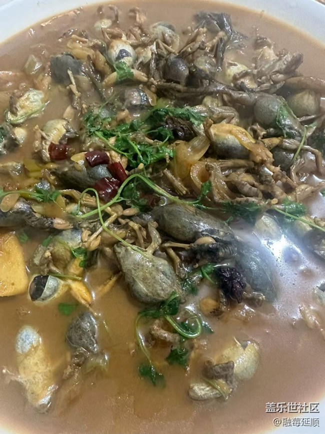 【暖锅之约】东北林蛙