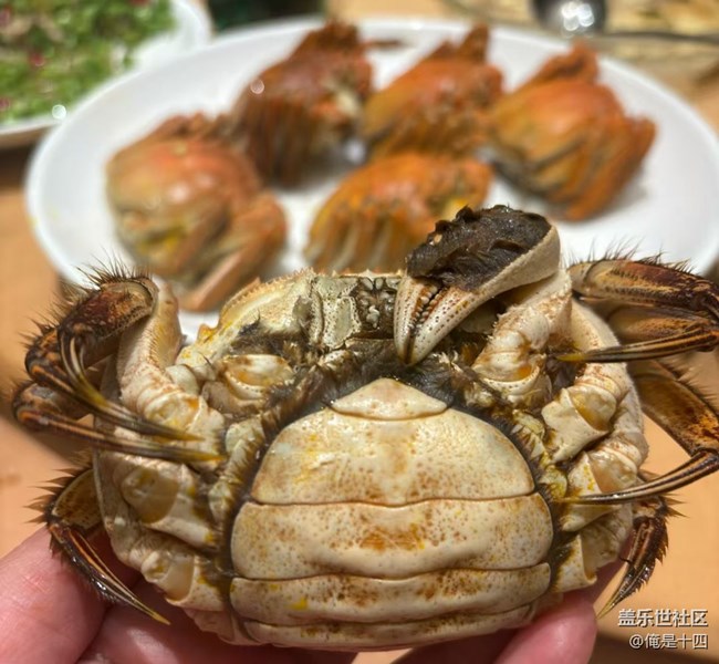 【暖锅之约】大闸蟹