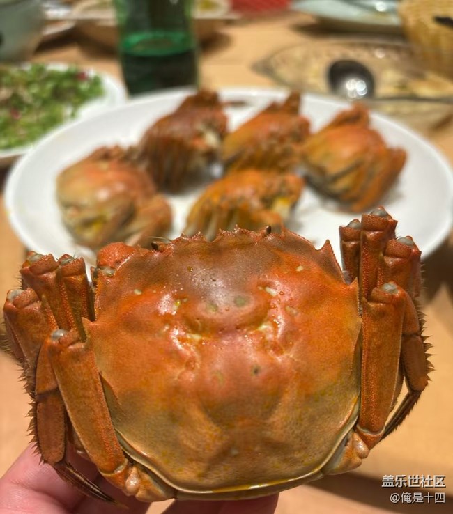 【暖锅之约】大闸蟹